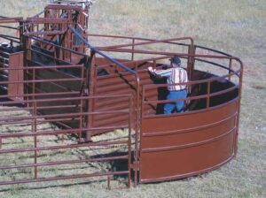 HiQual-Durable-Crowding-Tub