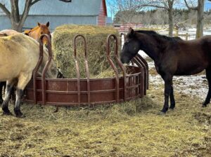 HiQual-Tombstone-Bull-Feeder-Horses
