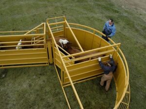 cornerless-crowding-tub-5