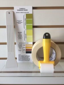 Kit de comptage du canola - 100