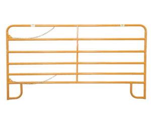 1.66-Victory-Gold-Panel