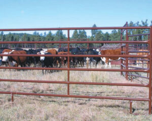Heavy-Duty-HiQual-Panels