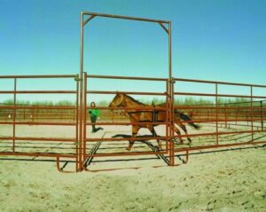 flex-panels-round-pen