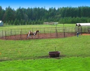 round-pen1